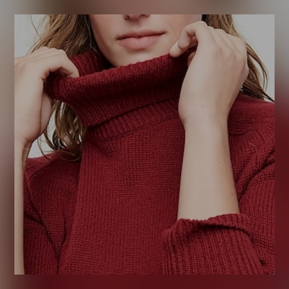 S J Crew cashmere turtleneck sweater